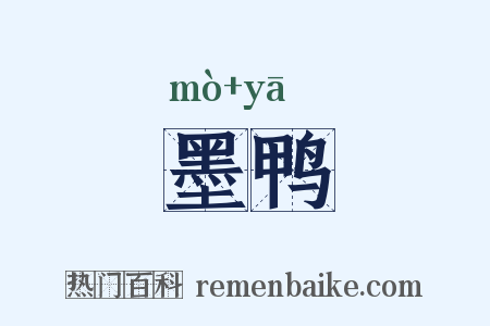 墨鸭是什么意思的图片